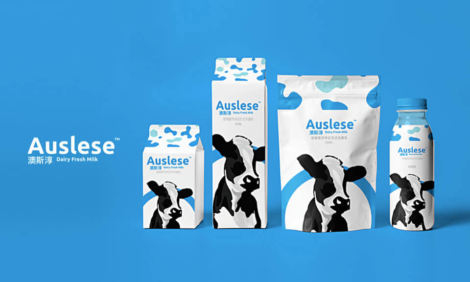 上海VI設計公司：VI設計的核心元素有哪些？