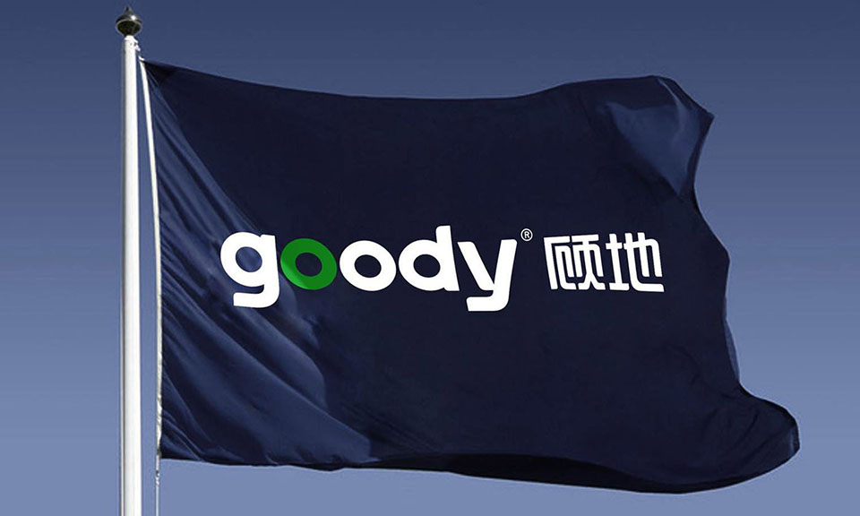 顧地科技CI品牌全案設(shè)計(jì)